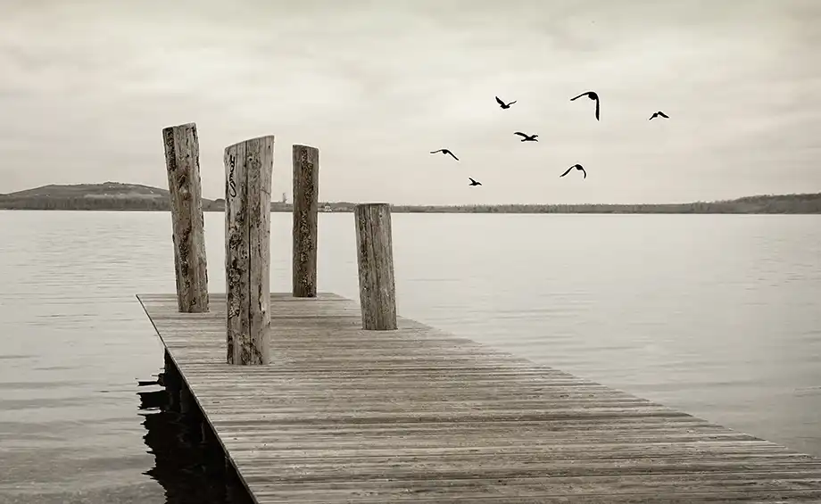 Schwarzes Trauerband und weiße Lilienblüten auf einem Felsen am ruhigen Meer